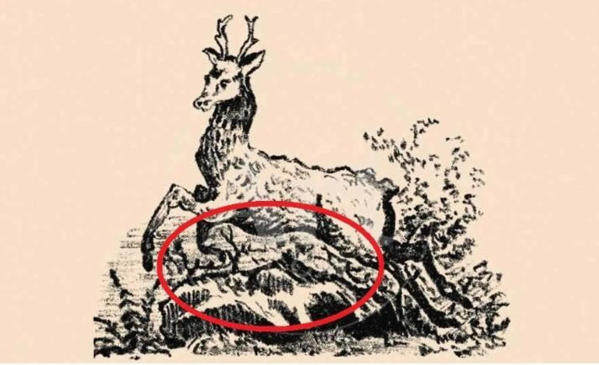 Foto: jagranjosh.com