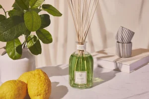 Pronašli smo odličan miris za dom savršen za ljeto | ELLE