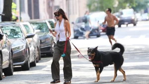 Kako zaštititi kućne ljubimce tijekom toplinskog vala | ELLE