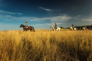 Ovaj ljetni bijeg na konjima kraj Plitvičkih jezera morate doživjeti