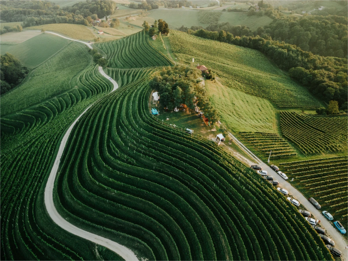 Što nas očekuje na petom izdanju festivala Jazz u vinogradu?