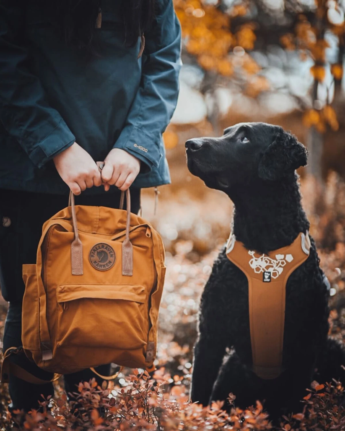 Kultne Kanken ruksake i druge Fjällräven komade sada možete kupiti u Zagrebu!