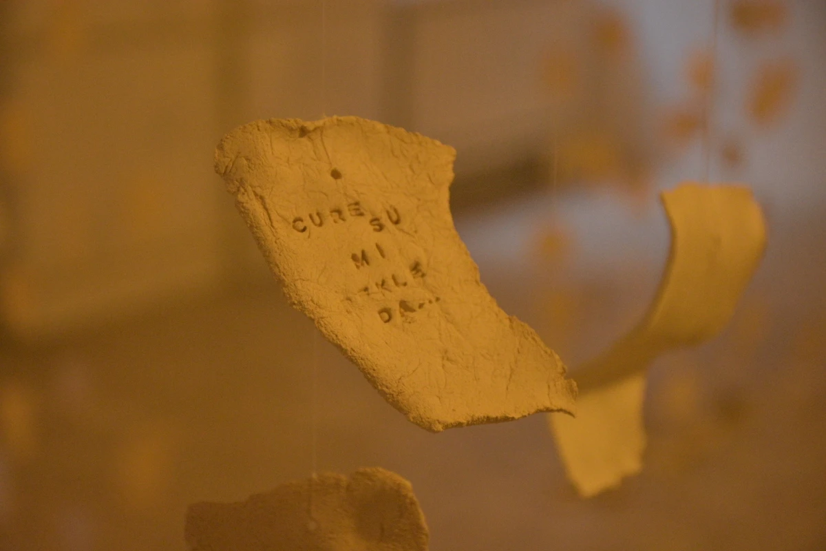 Umjetnost transformacije: Suradnja Alqvimia Store &amp; Spa i Tee Teodorović