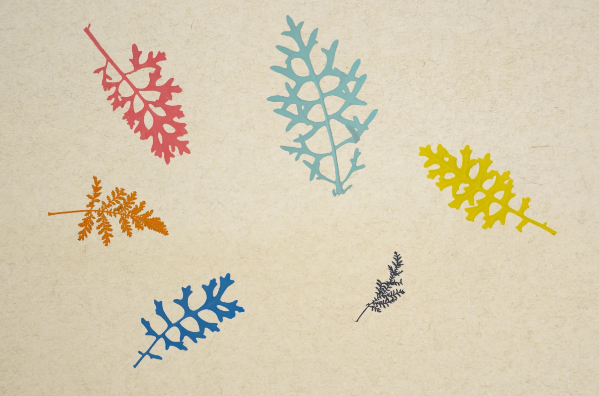 Dizajn koji budi sva vaša osjetila: Organoidi su sve češći odabir dizajnera interijera, a znamo i zašto