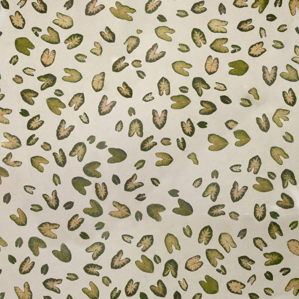 Dizajn koji budi sva vaša osjetila: Organoidi su sve češći odabir dizajnera interijera, a znamo i zašto