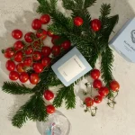 U Hrvatsku je stigao novi skandinavski niche brand AMOLN