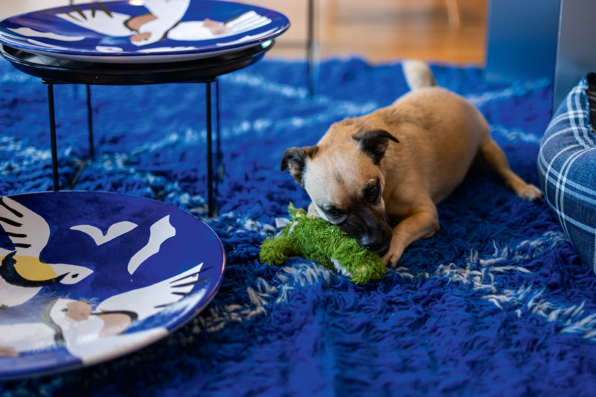 Boška Bahtijarević za Elle: Ovih blagdana usudite se dekorirati odvažnije