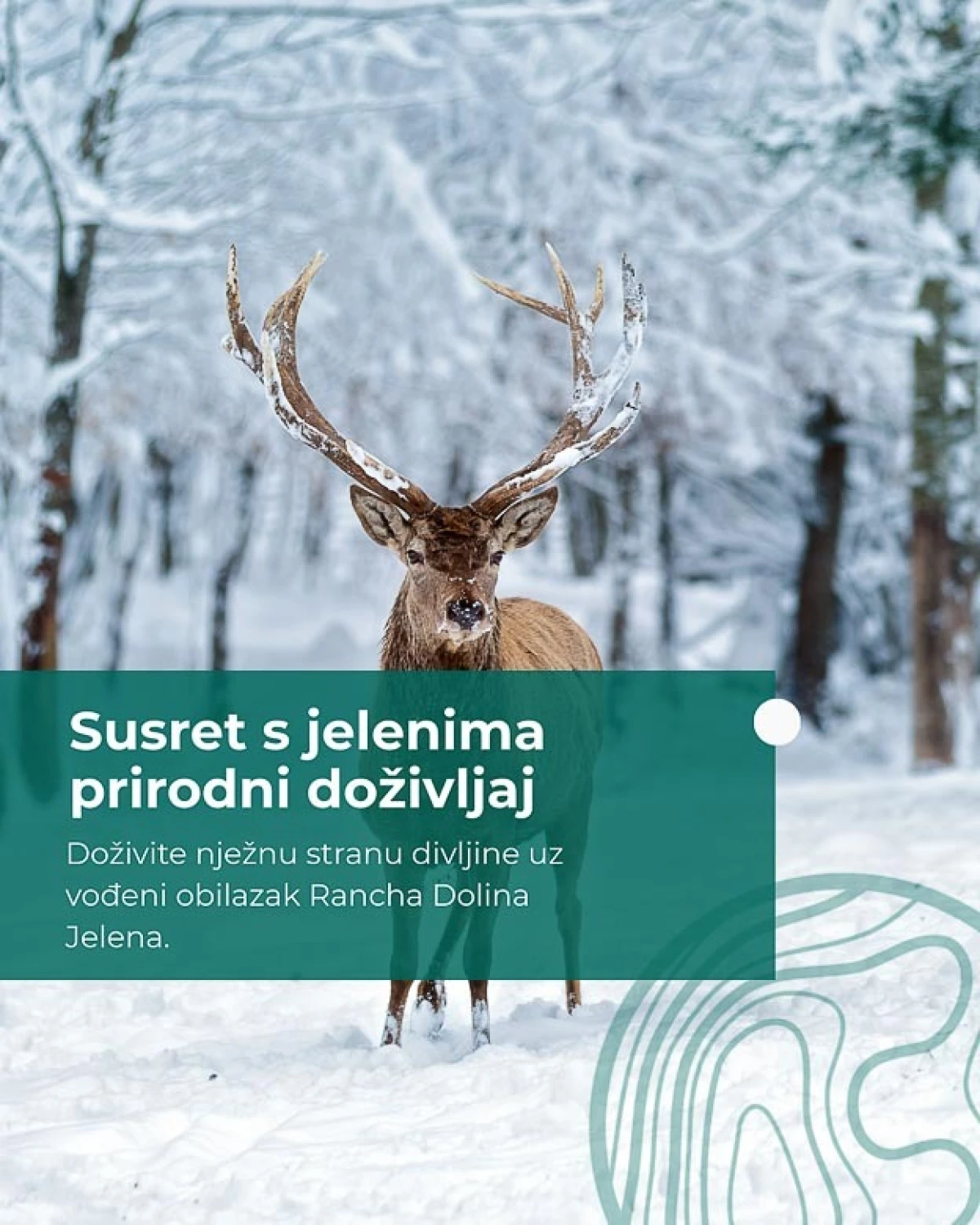 Camping Plitvice: Mjesto gdje se stvaraju iskustva po koja se dolazi i koja se pamte