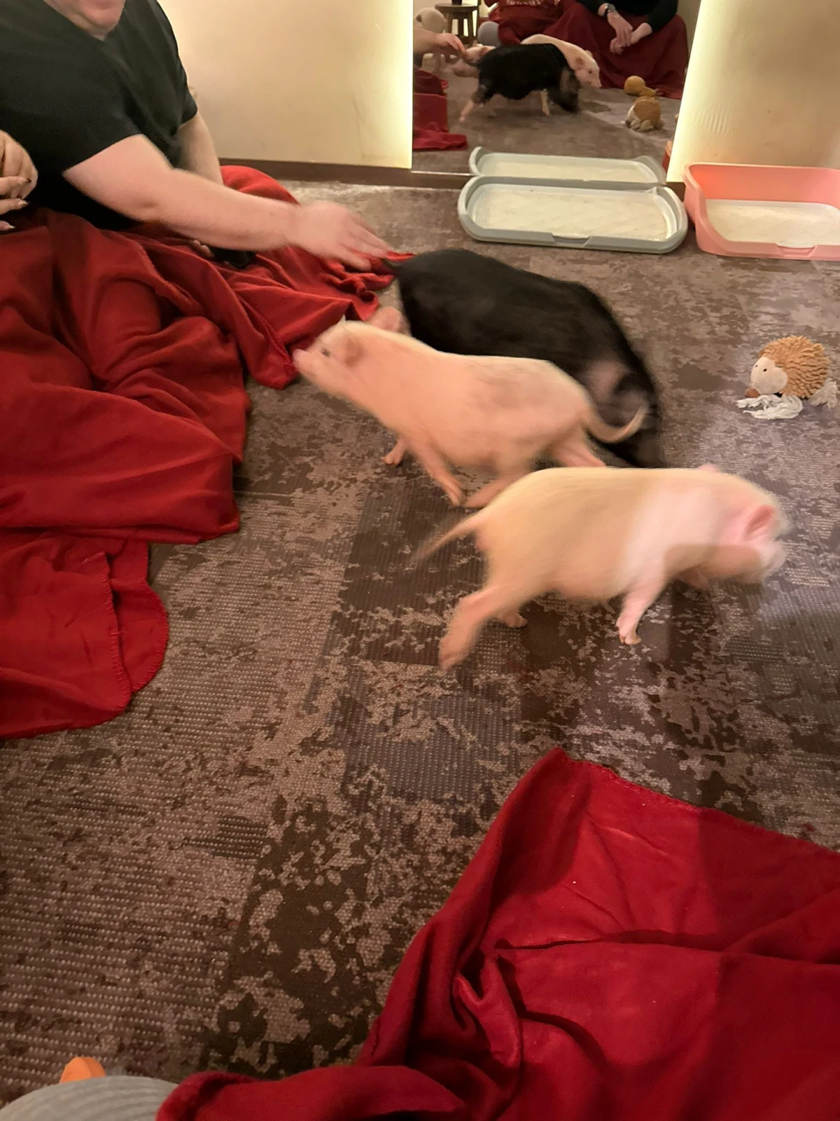 Budimpešta iz snova: mjesta koja morate posjetiti barem jednom